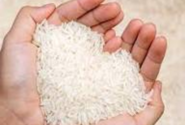 White Rice Supply